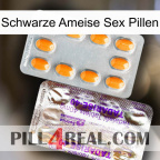 Black Ant Sex Pills new12